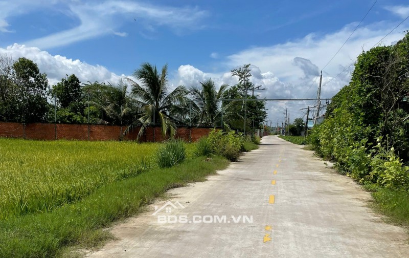 Chính Chủ Bán Gấp Đất Đẹp Mặt Tiền TT Cần Đước Giá 100%