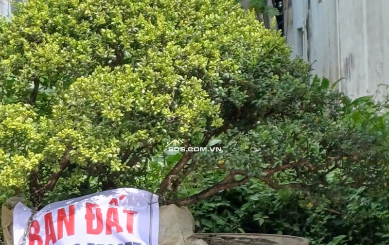 Chính chủ Bán đất mặt tiền khu Thanh Niên, Diện tích 118 m2 Giá chỉ hơn 2 tỷ.