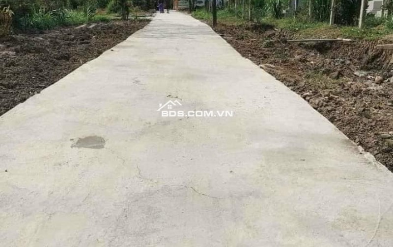 Chính chủ cần bán gấp đất lúa xã An Lục Long huyện Châu Thành Long An