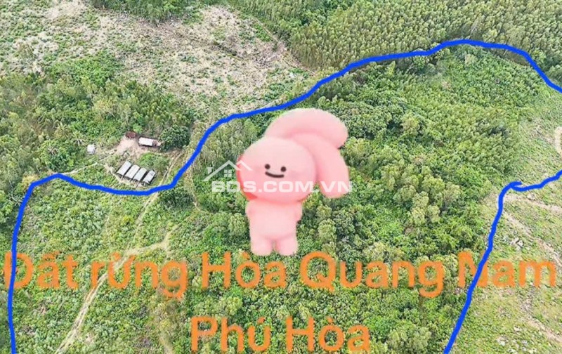 Cần Bán 5,1ha Đất Thôn Phú Thạnh, Xã Hòa Quang Nam, Huyện Phú Hòa, Tỉnh Phú Yên (nay thuộc Đắk Lắk)