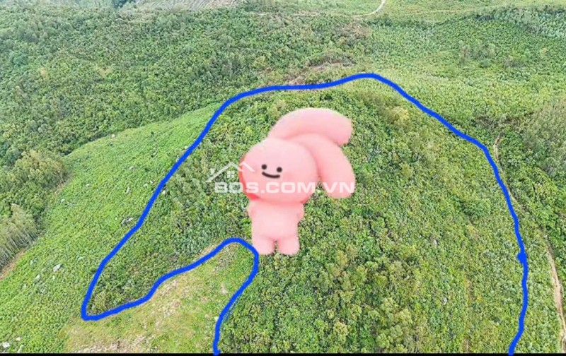 Cần Bán 5,1ha Đất Thôn Phú Thạnh, Xã Hòa Quang Nam, Huyện Phú Hòa, Tỉnh Phú Yên (nay thuộc Đắk Lắk)