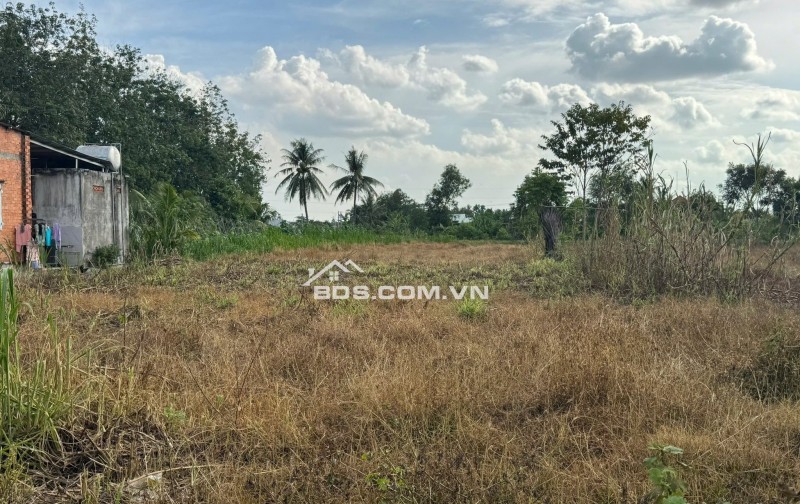 Chính Chủ Bán 1575,7m2 Đất Vườn Tại Phường Trảng Bàng, Thị Xã Trảng Bàng, Tây Ninh.
