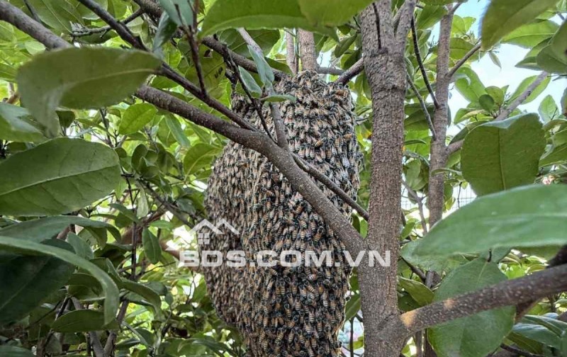 BÁN NHÀ ĐƯỜNG 3/2 , P12- XE HƠI ĐẬU CỬA - KHU PHÂN LÔ -SỔ VUÔNG ĐẸP - 5 TẤM HC ĐỦ- 4PN . MT 8