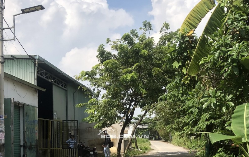 Cho thuê nhà xưởng 400m2 kè rạch Thạnh Lộc Quận 12