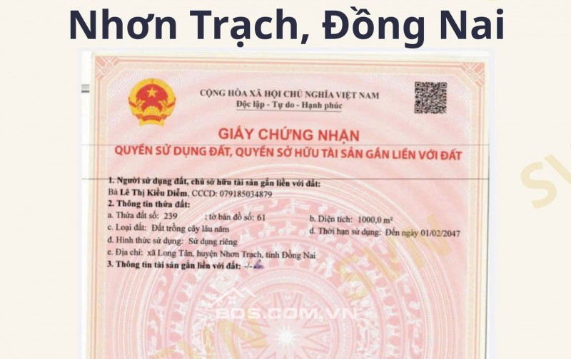  PHÁ ĐỈNH SINH LỜI – ĐẤT NỀN LONG TÂN, NHƠN TRẠCH 