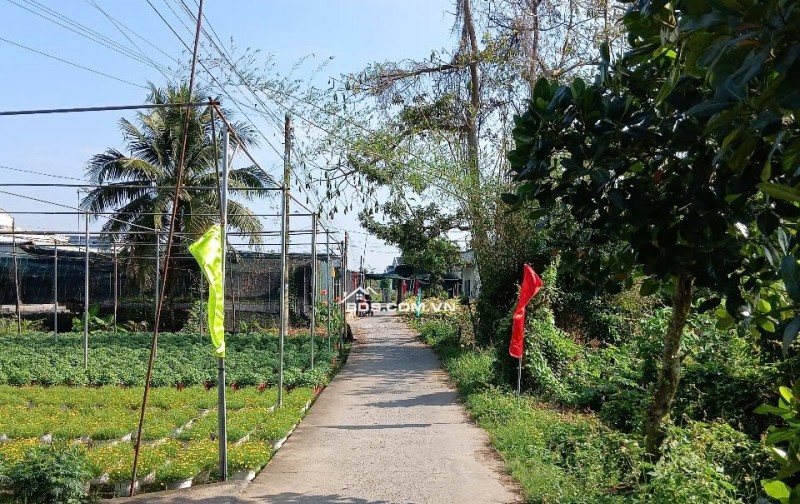 Bán đất nền ở quốc lộ 57