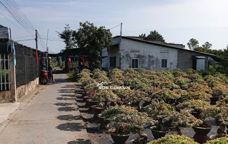 Bán đất nền ở quốc lộ 57