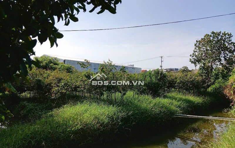 Bán đất nền ở quốc lộ 57