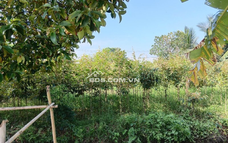 Bán đất nền ở quốc lộ 57