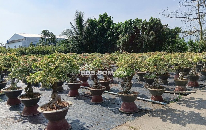 Bán đất nền ở quốc lộ 57