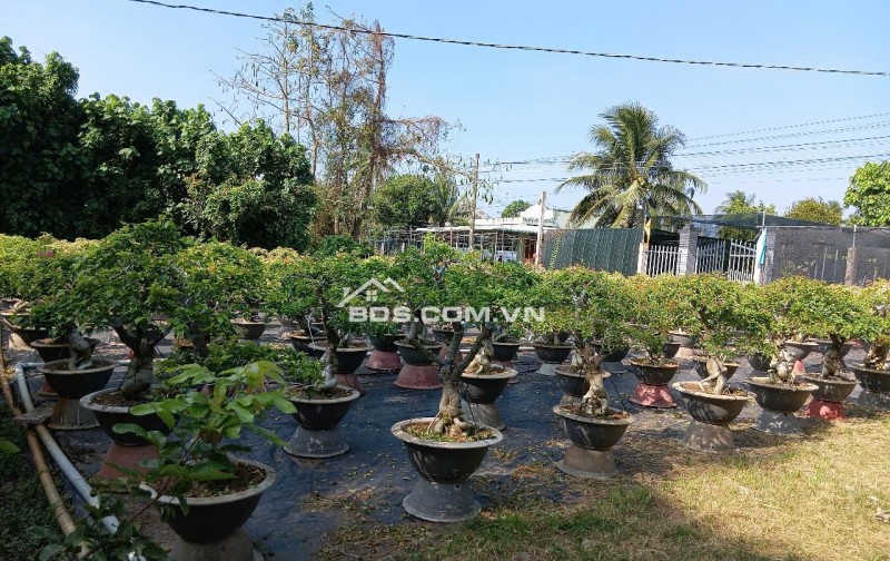 Bán đất nền ở quốc lộ 57