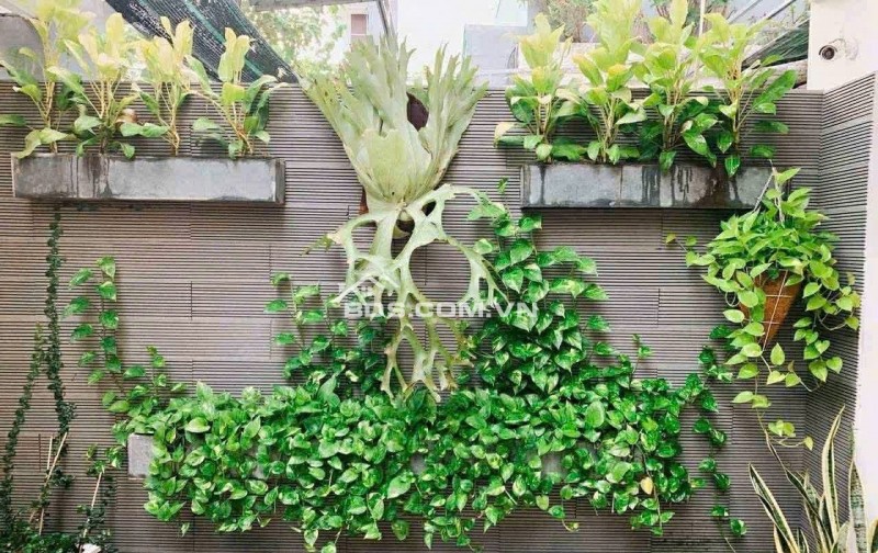 Siêu phẩm biệt thự sang trọng gần sát đường Phùng Hưng, TP. Đà Nẵng