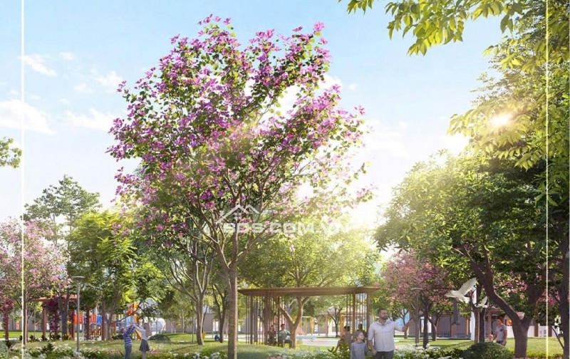 Vinhome golden cứ tỷ , shophouse liền kề, giá chỉ hơn 5 tỷ tiền đất .dt:100 m xây 4 tâng . 18 tháng sau mới thanh toán tiền nhà