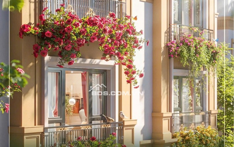 Vinhome golden cứ tỷ , shophouse liền kề, giá chỉ hơn 5 tỷ tiền đất .dt:100 m xây 4 tâng . 18 tháng sau mới thanh toán tiền nhà