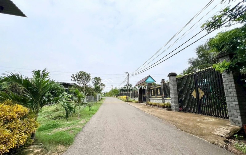 Chuyên đất Trảng Bom