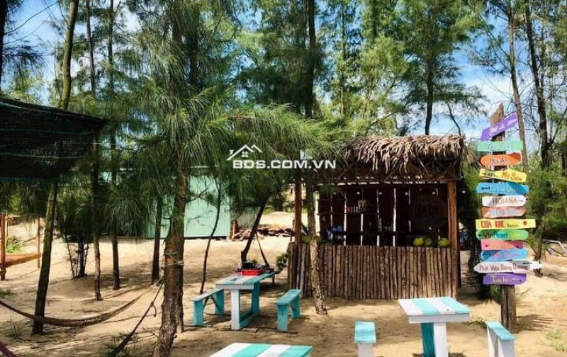 Trung tám tư vấn đầu tư BĐS khu vực vùng đông Quảng Nam