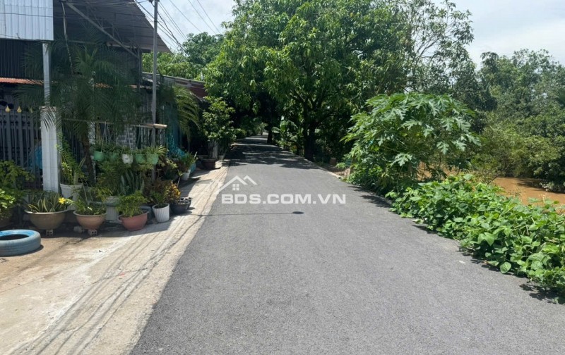 Bán nền Phường Mỹ Trà, Tỉnh Đồng Tháp.
