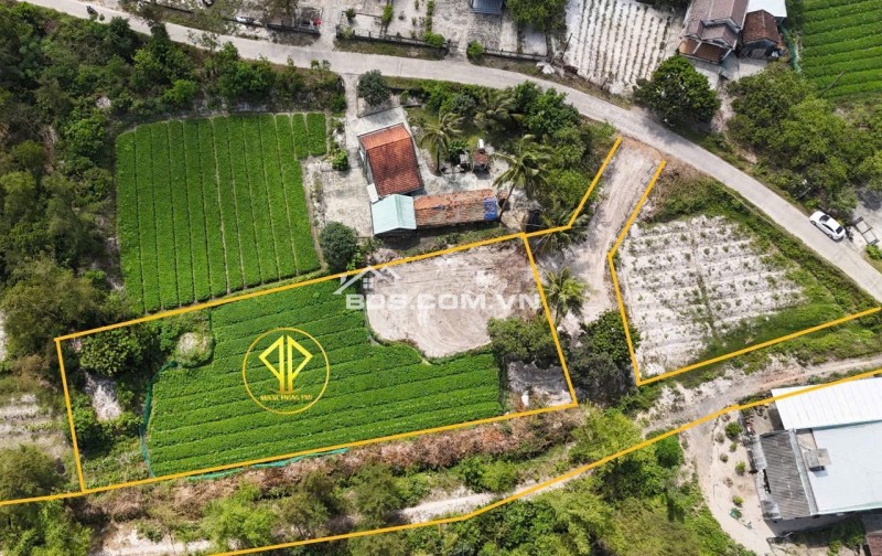 Trung Tâm Tư vấn Đầu Tư BĐS Khu Vực Vùng Đông Quảng Nam -TP-Đà Nẵng
