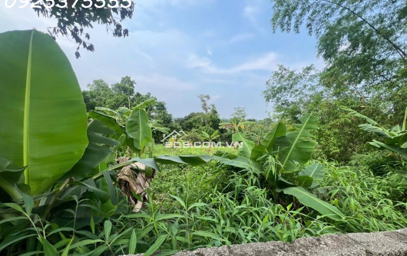 Siêu phẩm đất đẹp vuông như bánh chưng, giá rẻ tại Phú Mãn, Quốc Oai