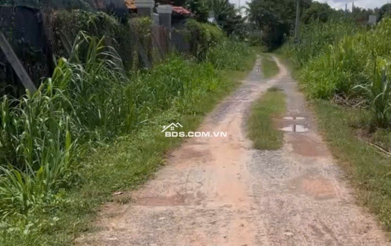 Chính Chủ Bán 1575,7m2 Đất Vườn Tại Phường Trảng Bàng, Thị Xã Trảng Bàng, Tây Ninh.