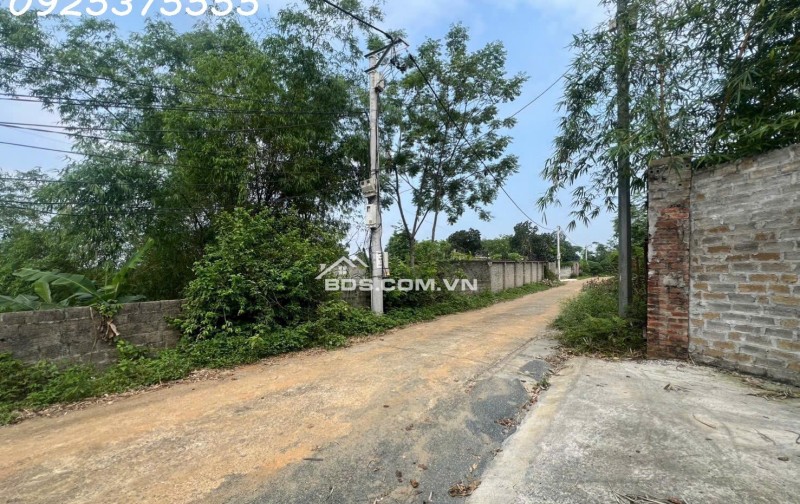 Siêu phẩm đất đẹp vuông như bánh chưng, giá rẻ tại Phú Mãn, Quốc Oai