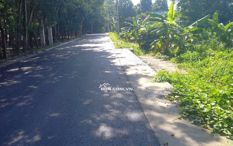 Bán đất phường Chánh Phú Hòa, TP Hồ Chí Minh (địa chỉ cũ: phường Chánh Phú Hòa, thành phố Bến Cát, tỉnh Bình Dương)