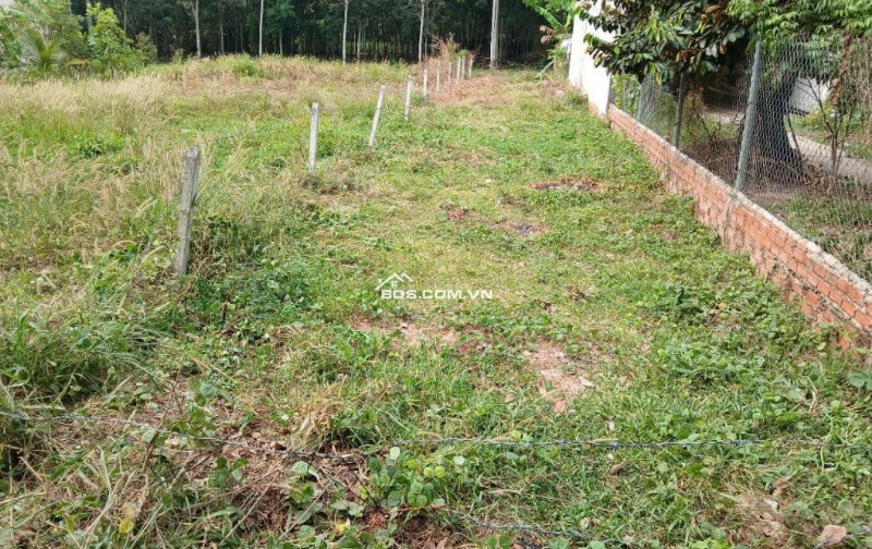 Bán đất phường Chánh Phú Hòa, TP Hồ Chí Minh (địa chỉ cũ: phường Chánh Phú Hòa, thành phố Bến Cát, tỉnh Bình Dương)