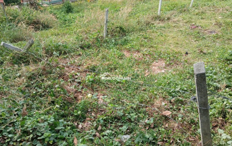 Bán đất phường Chánh Phú Hòa, TP Hồ Chí Minh (địa chỉ cũ: phường Chánh Phú Hòa, thành phố Bến Cát, tỉnh Bình Dương)