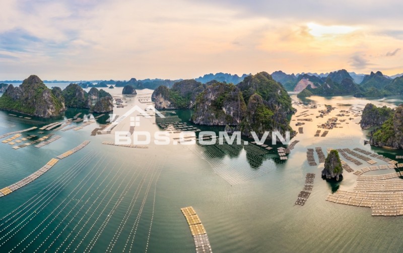 crytal holiday habour Vân Đồn chỉ từ 1,9 tỷ view vinh 2 mặt biển , chuẩn thiết kế 5 sao