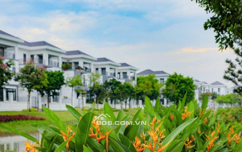 SIÊU HOT  BIỆT THỰ ĐƠN LẬP SÔNG Aqua City 