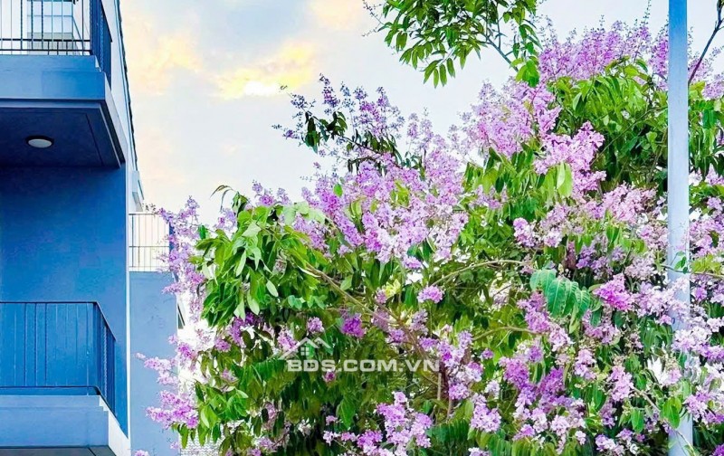 SIÊU HOT  BIỆT THỰ ĐƠN LẬP SÔNG Aqua City 