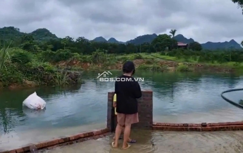 BĐS NGHỈ DƯỠNG ĐẲNG CẤP LÀ ĐÂY CHỮ ĐÂU ,CHỈ CÓ Ở KIM BÔI - HÒA BÌNH cũ nay là PHÚ THỌ .
