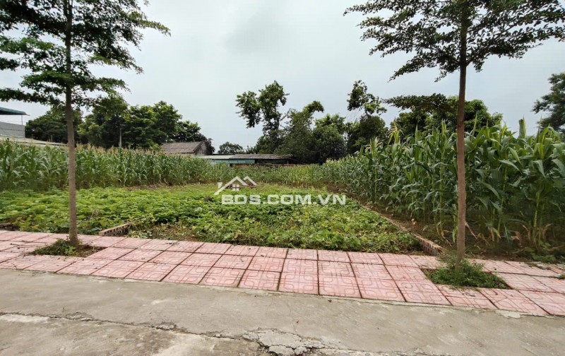 Chính Chủ Gửi Bán 144 m 50 thổ cư  chỉ 1, x tỷ 
Nhuận Trạch Lương Sơn -HB (PHÚ THỌ MỚI)