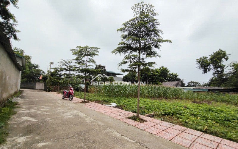 Chính Chủ Gửi Bán 144 m 50 thổ cư  chỉ 1, x tỷ 
Nhuận Trạch Lương Sơn -HB (PHÚ THỌ MỚI)