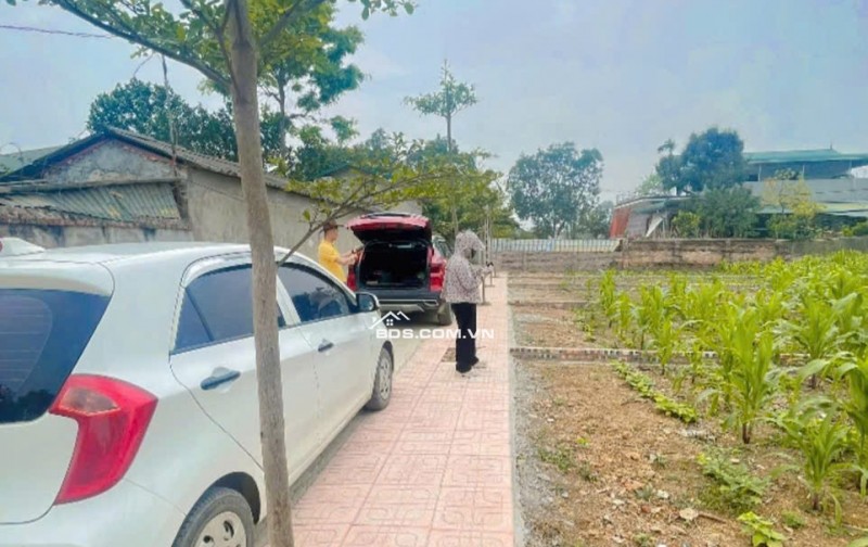 Chính Chủ Gửi Bán 144 m 50 thổ cư  chỉ 1, x tỷ 
Nhuận Trạch Lương Sơn -HB (PHÚ THỌ MỚI)