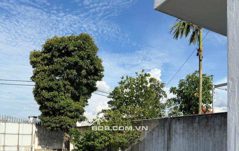 Nhà đất bán - 1650m2 - 245m2 thổ cư - nhà kiên cố - sổ hồng - Củ Chi