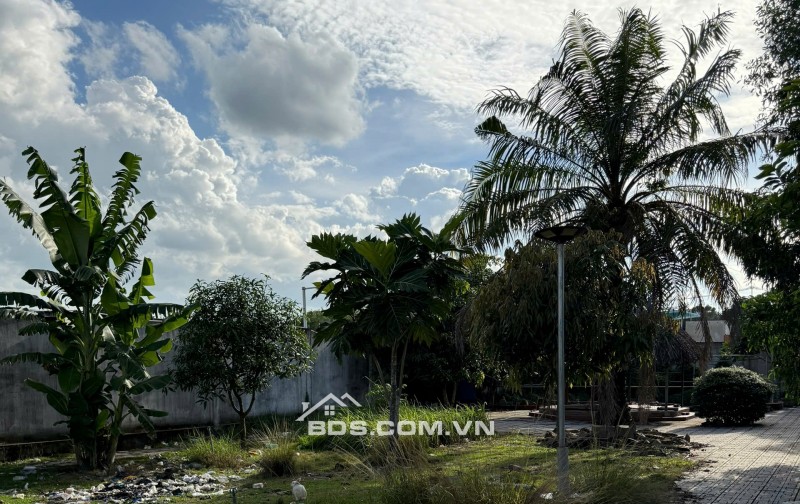 Nhà đất bán - 1650m2 - 245m2 thổ cư - nhà kiên cố - sổ hồng - Củ Chi