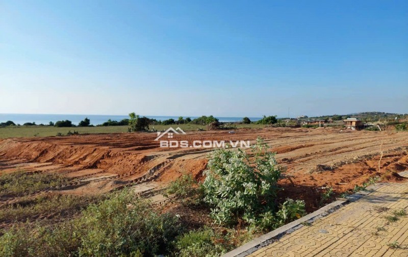Bán đất 1000m2 tại đường 701, Xã Phước Dinh, Thuận Nam, Ninh Thuận, giá cực rẻ
