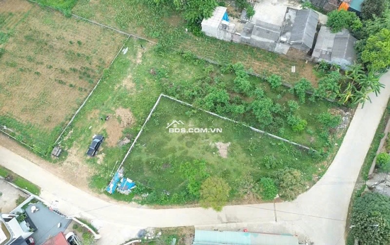 CHÍNH CHỦ GỬI BÁN LÔ ĐẤT GÓC CỰC ĐẸP – 740M² – MẶT TIỀN 52M – TRỤC CHÍNH XÃ CƯ YÊN – KINH DOANH & PHÂN LÔ CỰC TỐT
