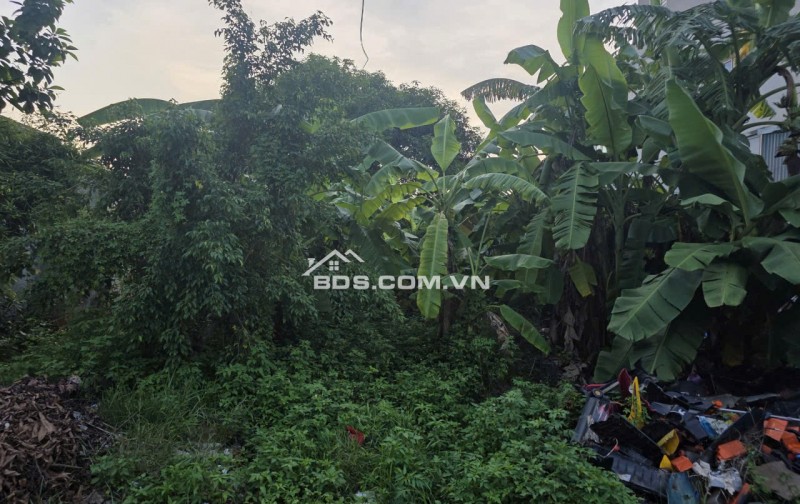 337m2 trung tâm hành chính - trục đường DT499 - Thanh Liêm - Hà Nam