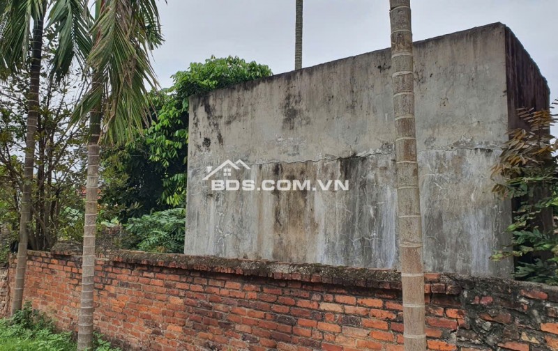 Chính chủ bán gấp 229.5m2 tại Xuân Đồng, Tân Minh, Sóc Sơn, Hà Nội
