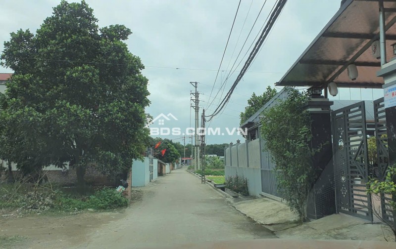 Chính chủ bán gấp 229.5m2 tại Xuân Đồng, Tân Minh, Sóc Sơn, Hà Nội