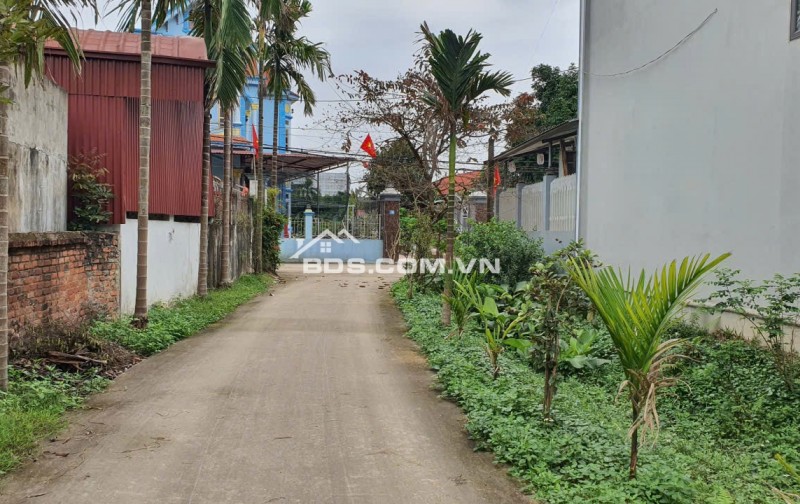 Chính chủ bán gấp 229.5m2 tại Xuân Đồng, Tân Minh, Sóc Sơn, Hà Nội