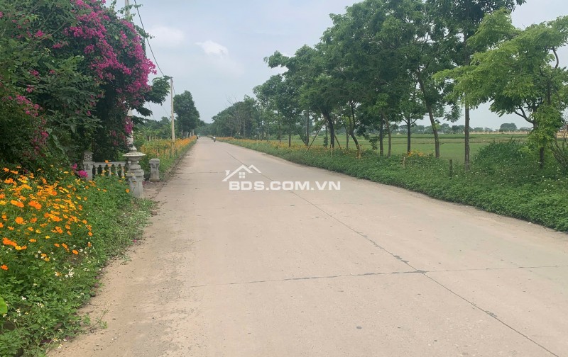 Đất nền giá rẻ FO 180tr 150m2/lô - 6x25m sẵn sổ (không trung gian) đất Thạch Quảng, Thanh Hoá ( giáp Ninh Bình) Vị trí : cạnh UBND Xã, Chợ, Trường Học, khu công nghiệp đã hoạt động 140ha , bến xe, trạm đăng kiểm, cây xăng, dân cư đông đúc ....