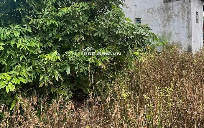 CHÍNH CHỦ CẦN BÁN Đất thổ cư 650m, tại huyện Ân Thi, Hưng Yên, giá 30tr/m2
