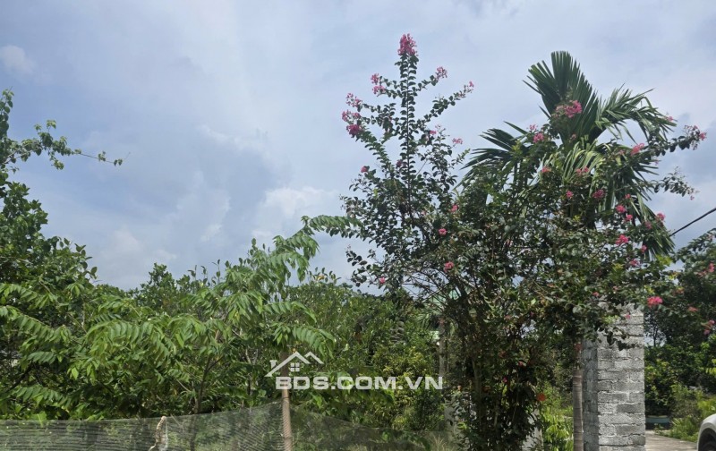 F0 Chỉ 6xx triệu Lô Đất ngay gần Lữ Đoàn 382 QK1 Thịnh Đức, Tp Thái Nguyên, đường to 3 ô tô