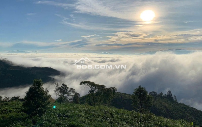 Đón bình minh trên đồi gió – 1000m² đất nền nghỉ dưỡng chờ bạn tại  Bảo Lộc.