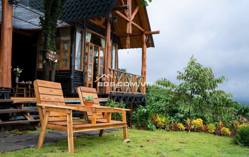 Đón bình minh trên đồi gió – 1000m² đất nền nghỉ dưỡng chờ bạn tại  Bảo Lộc.