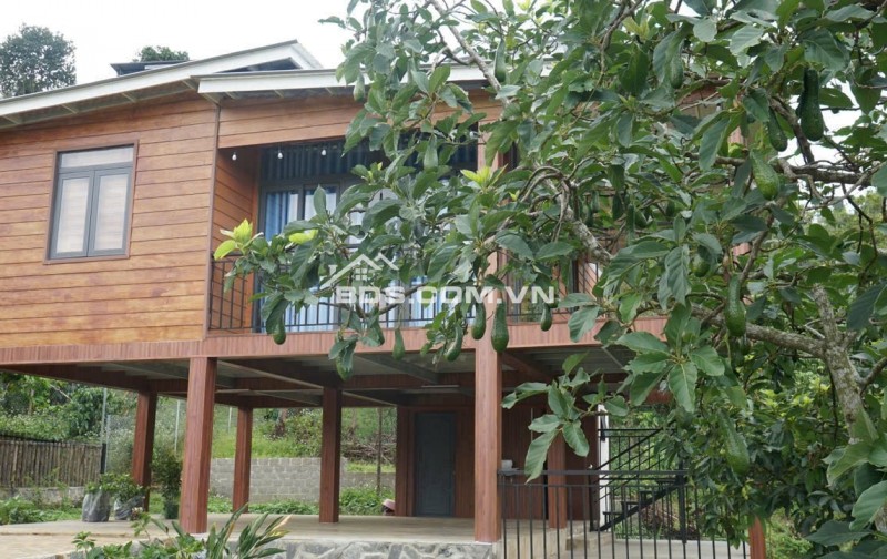 Đón bình minh trên đồi gió – 1000m² đất nền nghỉ dưỡng đang chờ người sở hữu tại  Bảo Lộc.