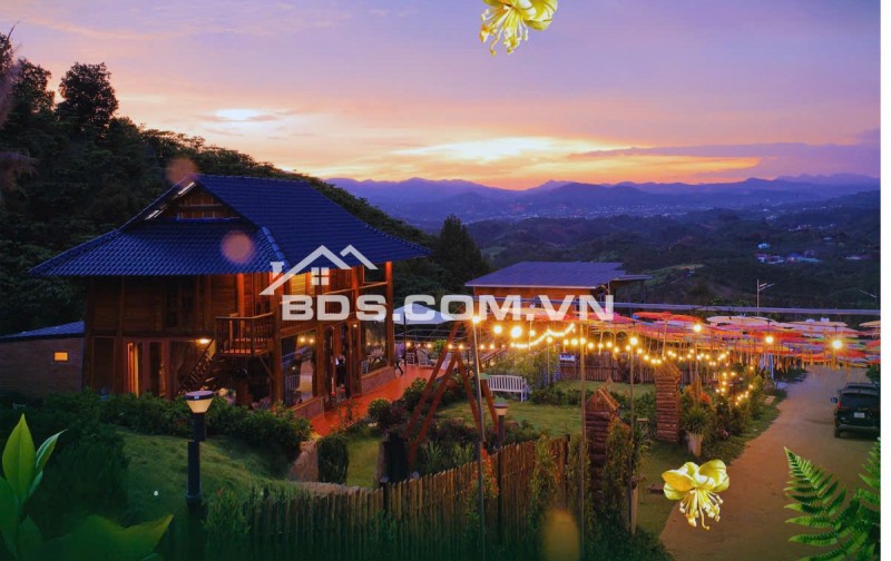 Đón bình minh trên đồi gió – 1000m² đất nền nghỉ dưỡng chờ bạn tại  Bảo Lộc.